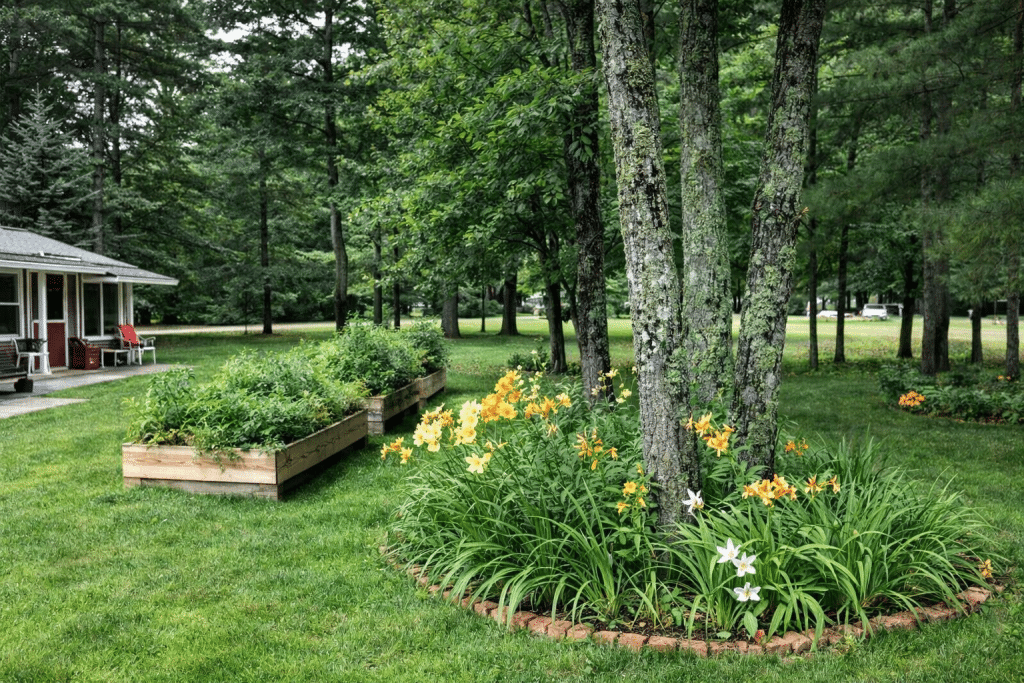 Pinewood Manor - Assisted Living in Ocean Park, ME photo 6